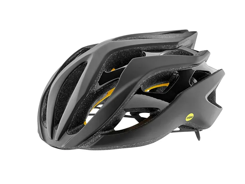 2018 Giant Rev MIPS Road Helmet in Black