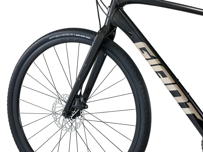 Giant FastRoad AR 2 Road Bike in Panther-1