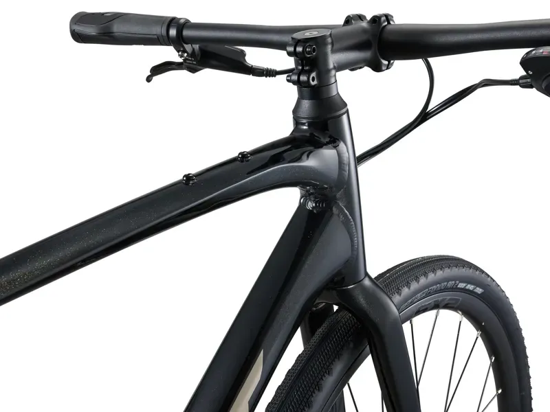 Giant FastRoad AR 2 Road Bike in Panther-4