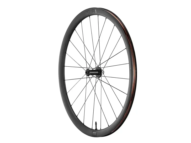 Giant SLR 1 36 Tubeless Disc Brake Wheelsystem in Black-1