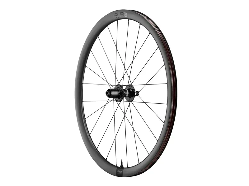 Giant slr2 36 Tubeless Disc Brake Rw Rear Shima HG 700c-3