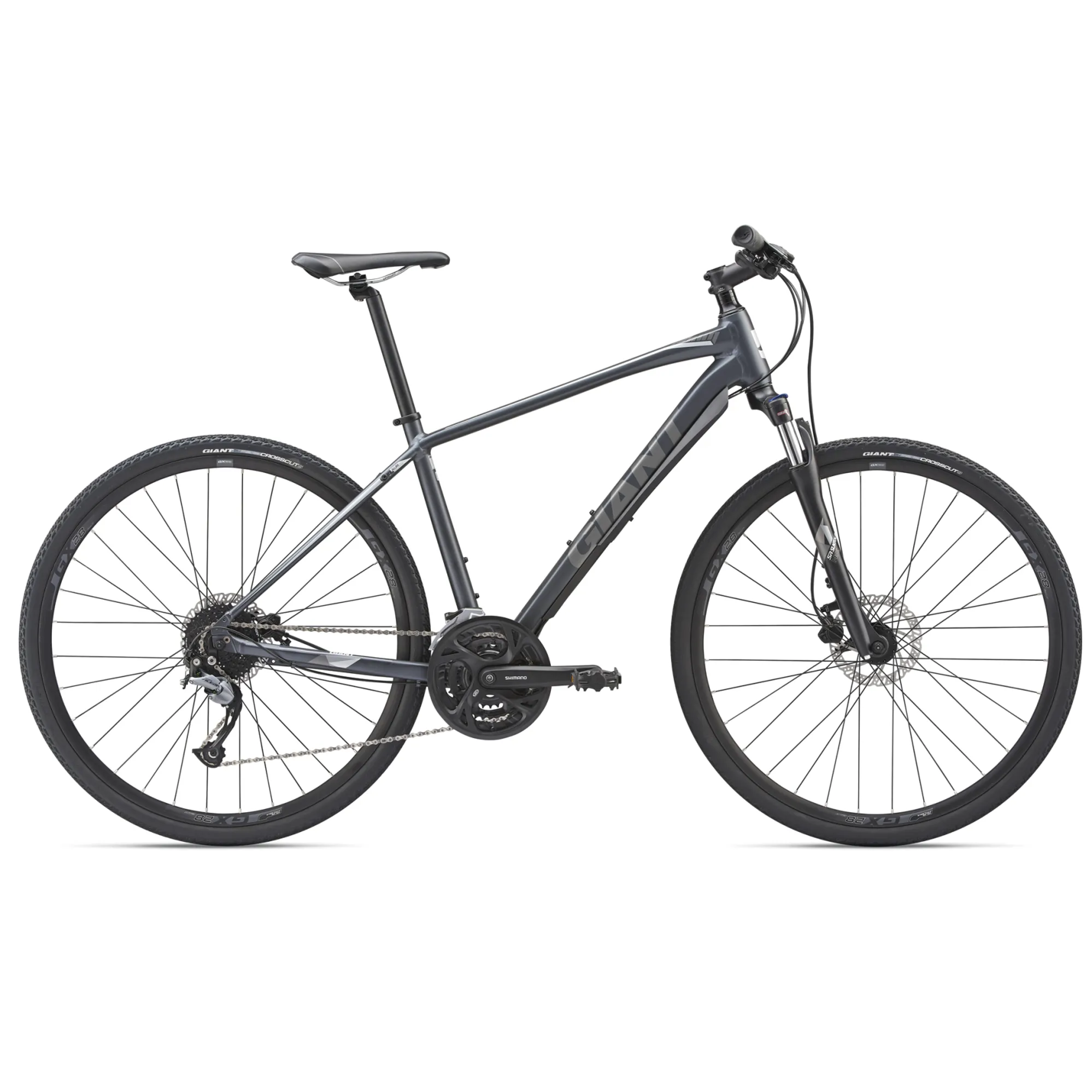2019 Giant Roam Disc Mens Hybrid bike in Grey