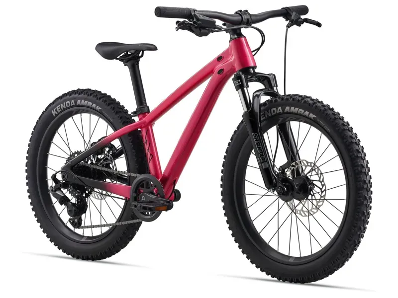 Liv STP 20 FS Mountain Bike in Hot Pink-1