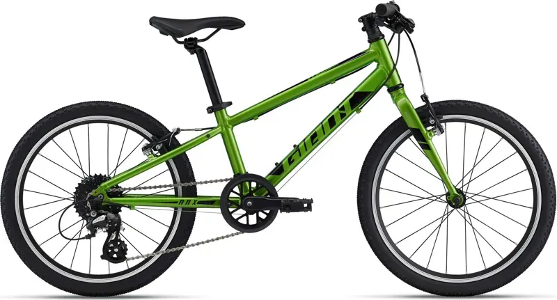 2022 Giant ARX 20 Kid's Bike in Green
