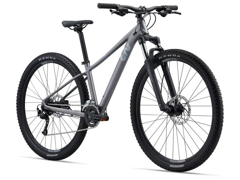 2022 Liv Tempt 2 Womens XC Mountain Bike in Liquid Metal-1