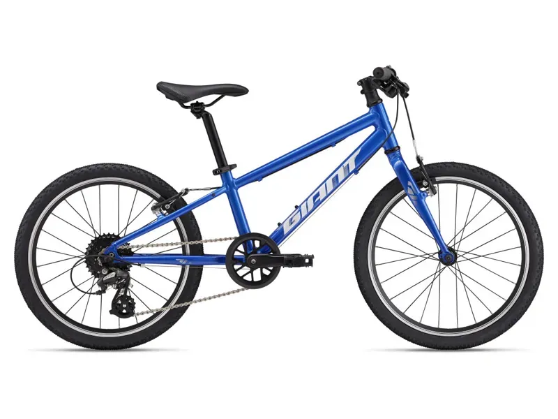 2025 Giant ARX 20 Kids Bike In Cobalt