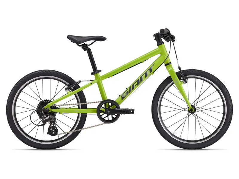 2025 Giant ARX 20 Kids Bike In Lime Punch