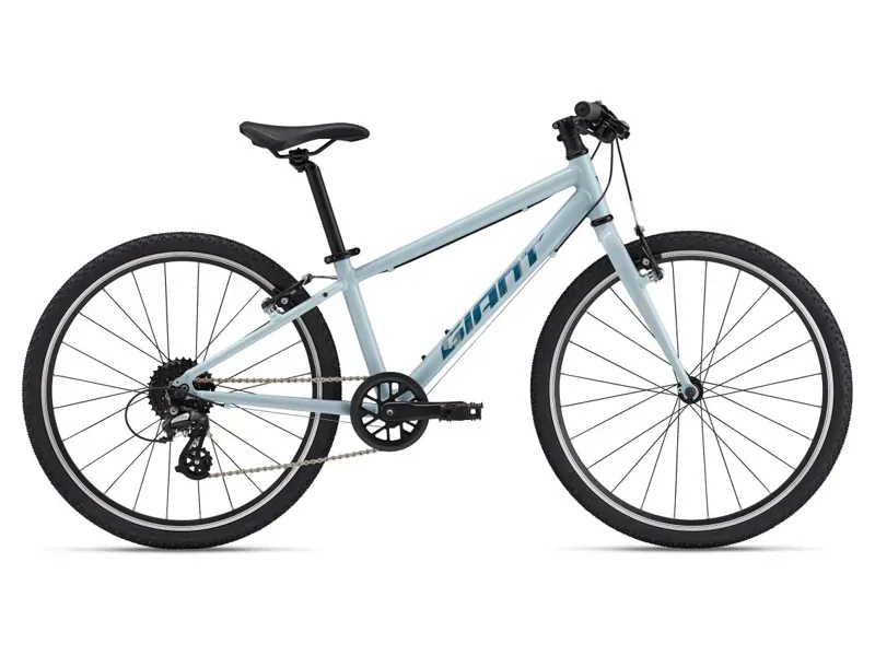 2025 Giant ARX 24 Kids Bike In Soap Suds