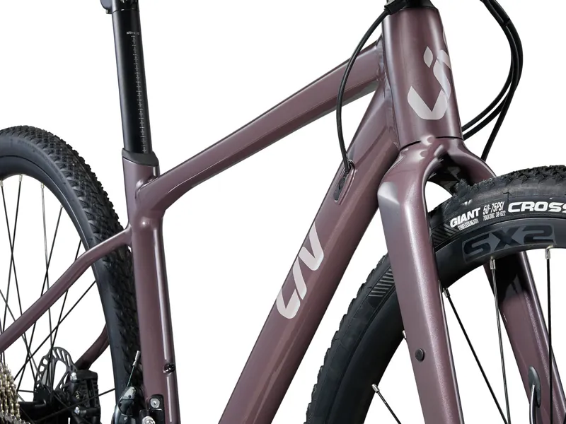 2024 Liv Devote 1 Gravel Bike In Charcoal Plum-1