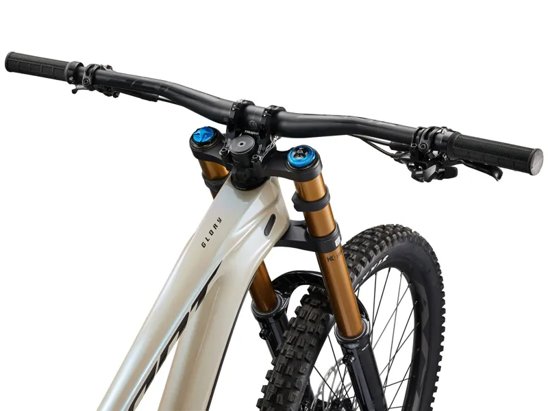 Giant Glory Advanced Mountain Bike in Shoreline/Carbon-4