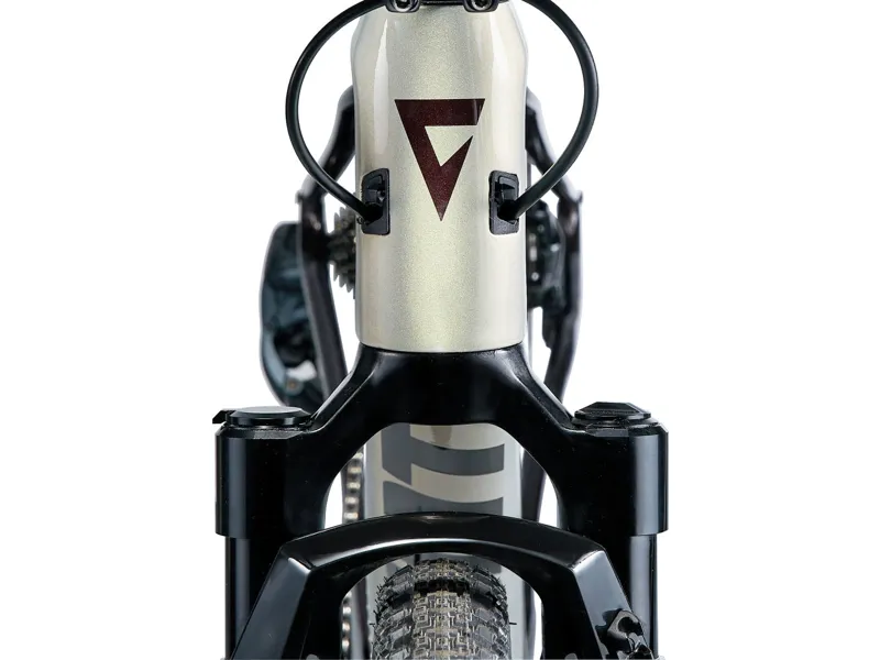 2024 Giant Revolt X Advanced Pro 1 Gravel Bike In Golden Haze/Cordovan-4