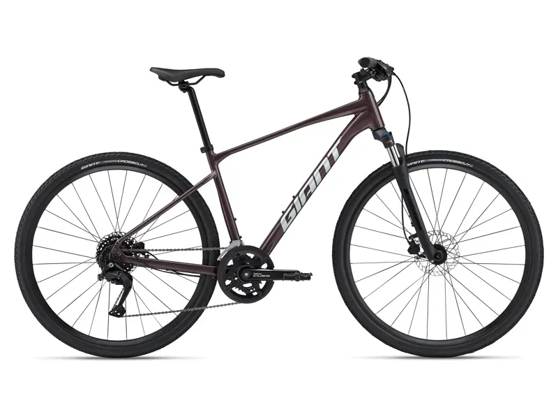2024 Giant Roam 2 Disc Hybrid Bike in Charcoal Plum