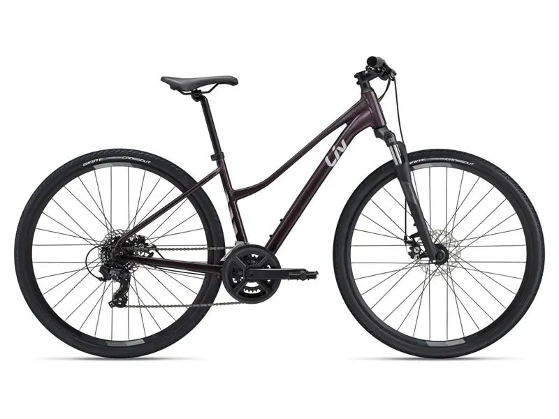 2024 Liv Rove 4 Mountain Bike In Charcoal Plum
