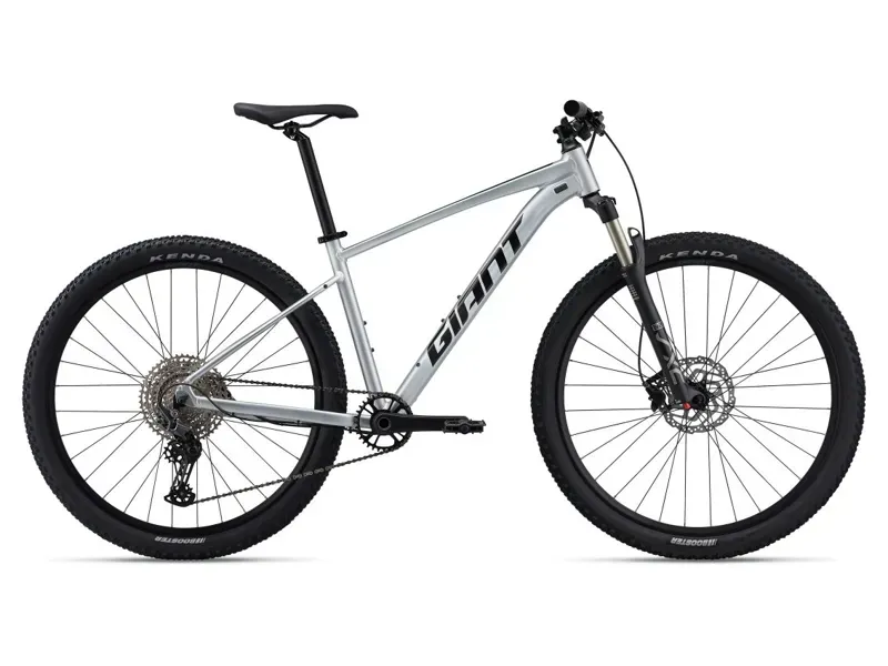 2024 Giant Talon 0 MTB In Gloss Quicksillver/Panther