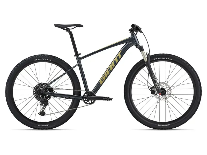 2024 Giant Talon 1 MTB In Gloss Cold Iron/Bay Leaf