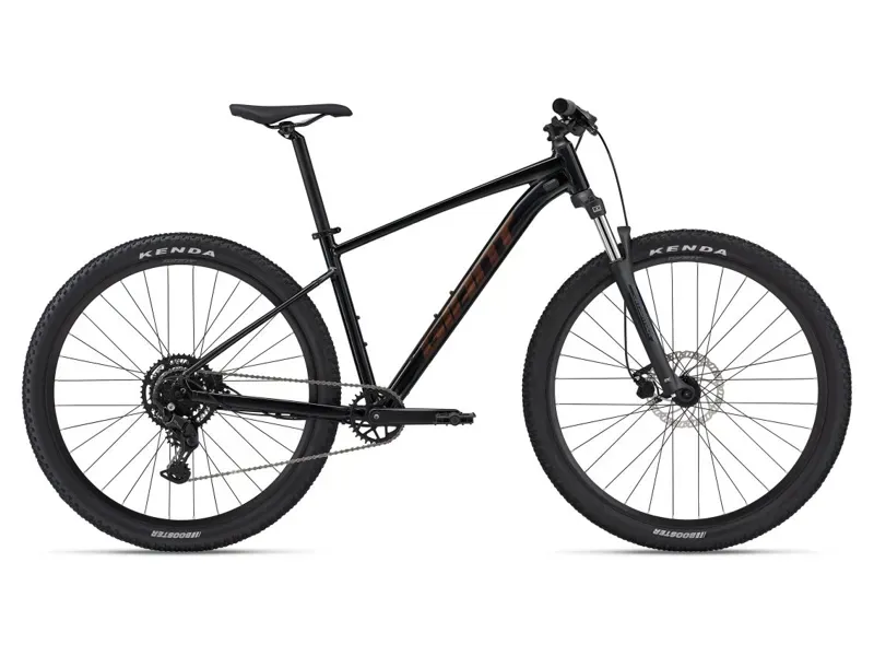 2024 Giant Talon 2 29er  MTB In Gloss Metallic Black/Hematite