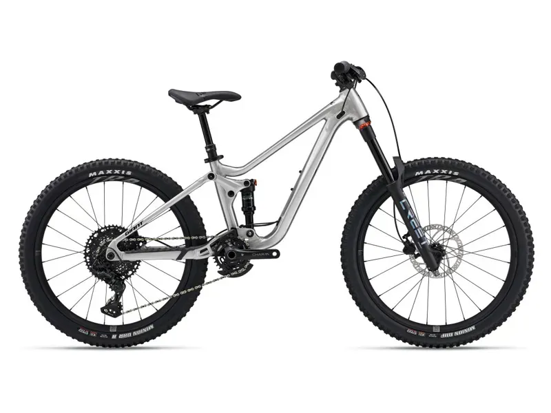 2025 Giant Faith 24 Kids Mountain Bike In Raw Aluminium