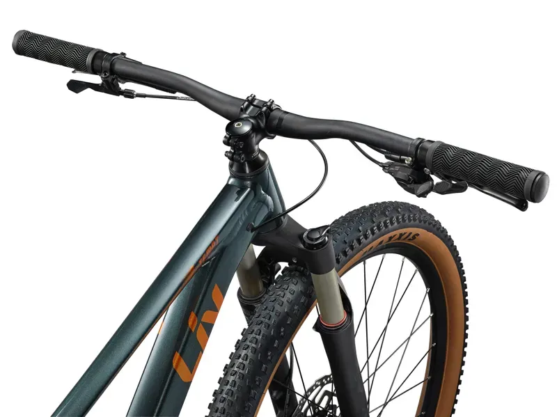 Liv Tempt 0 Mountain Bike in Stardust Grey-3