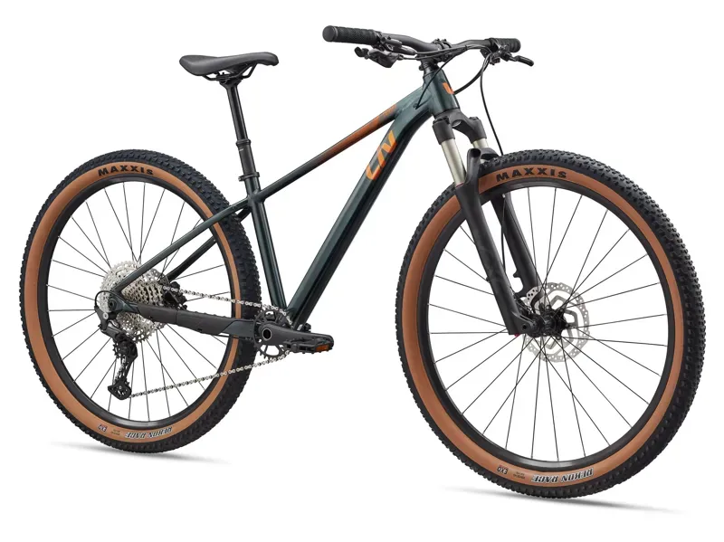 Liv Tempt 0 Mountain Bike in Stardust Grey-1