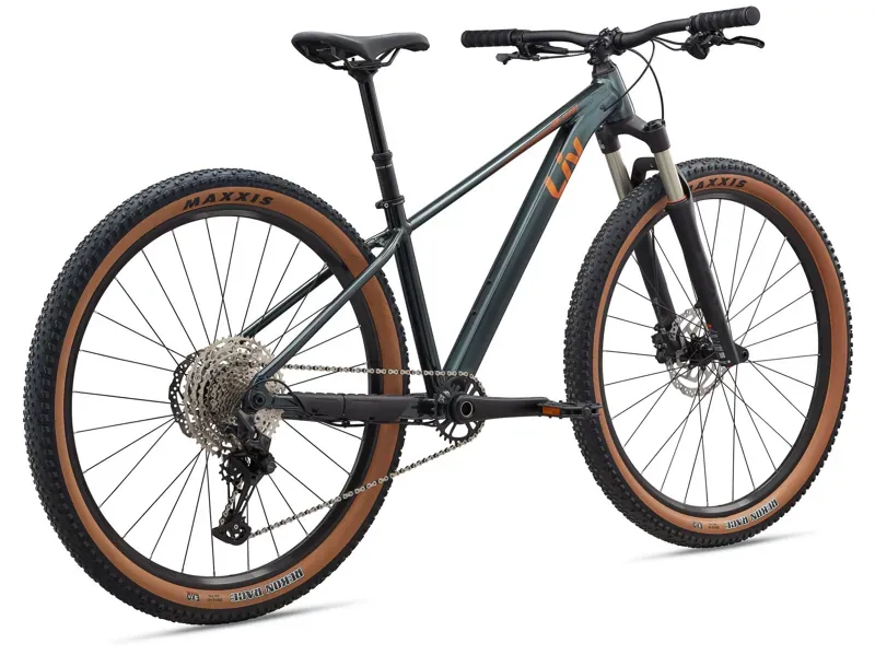 Liv Tempt 0 Mountain Bike in Stardust Grey-2