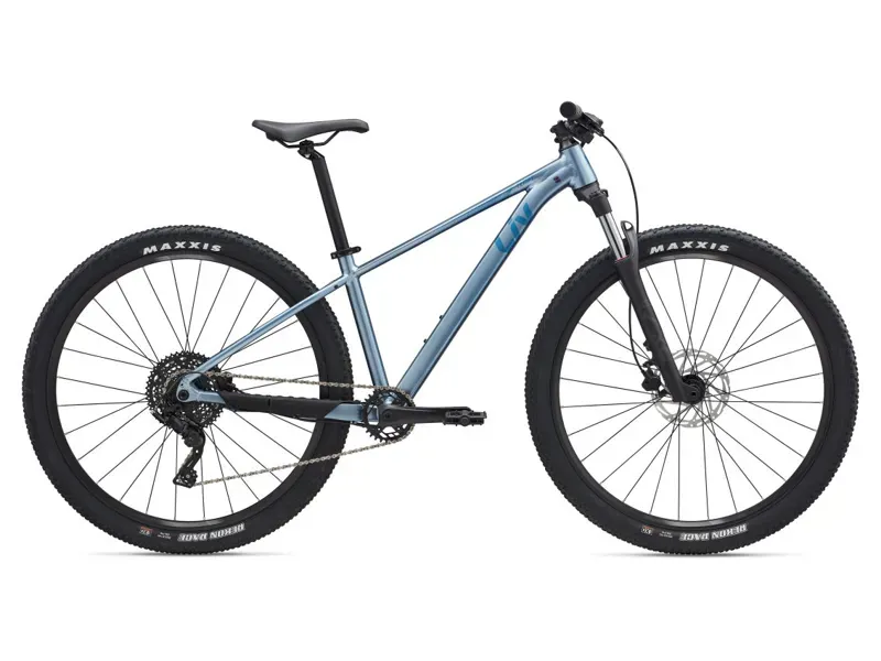 2025 Liv Tempt 2 29 Mountain Bike In Frost Silver