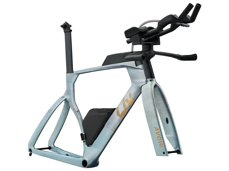 Liv Avow Advanced SL-FF Frame in Mercury Gale-1