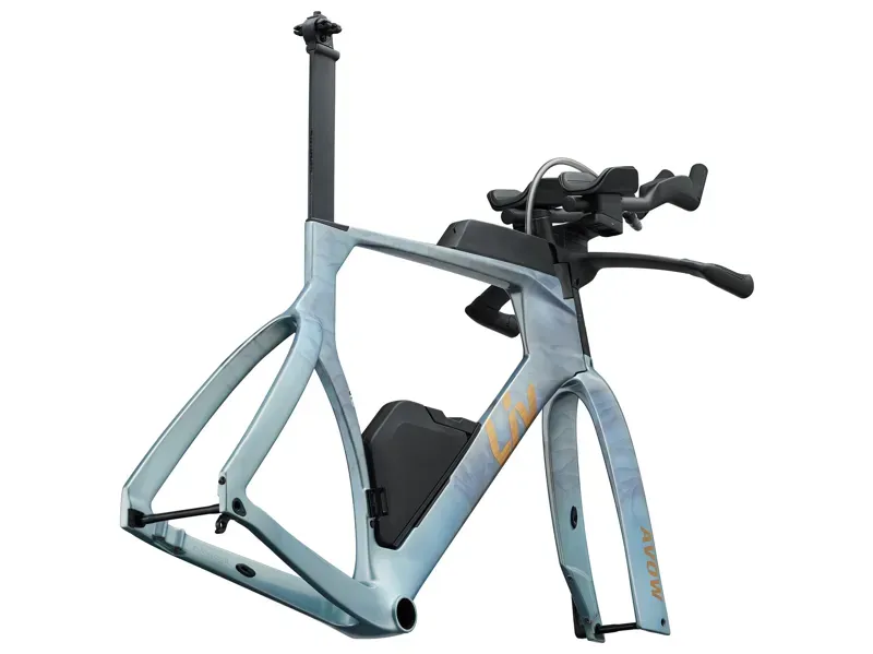 Liv Avow Advanced SL-FF Frame in Mercury Gale-2