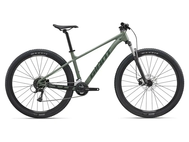 Giant Talon 3 Mountain Bike in Pangea Green