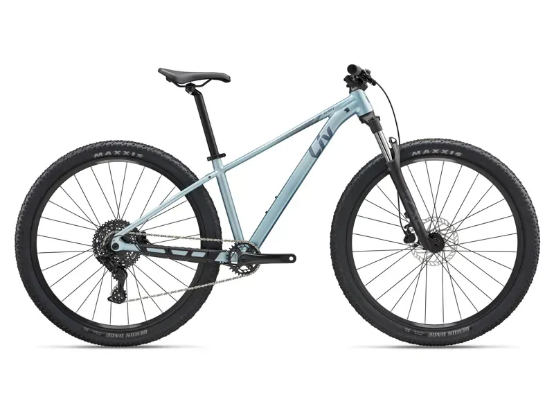 Liv Tempt 2 Mountain Bike in Cryo Silver