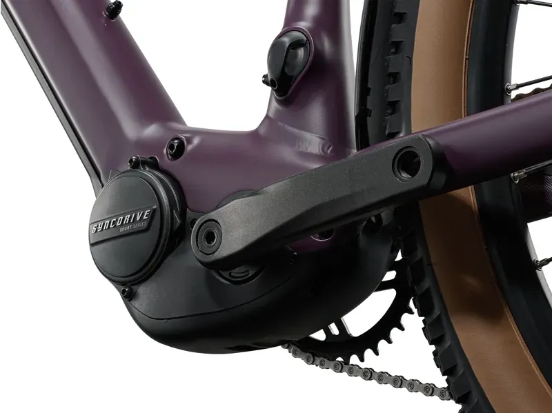 Liv Tempt E+ 2 EX eMountain Bike in Tyrian Purple-1