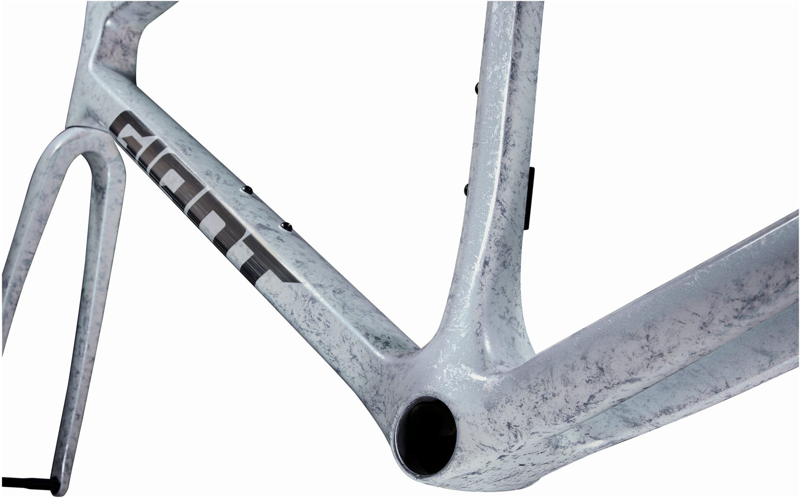 2025 Giant TCR Advanced SL Road Bike Frameset In Opal Brushed Chrome-1