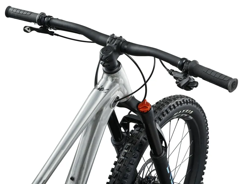 2025 Giant Faith 24 Kids Mountain Bike In Raw Aluminium-4