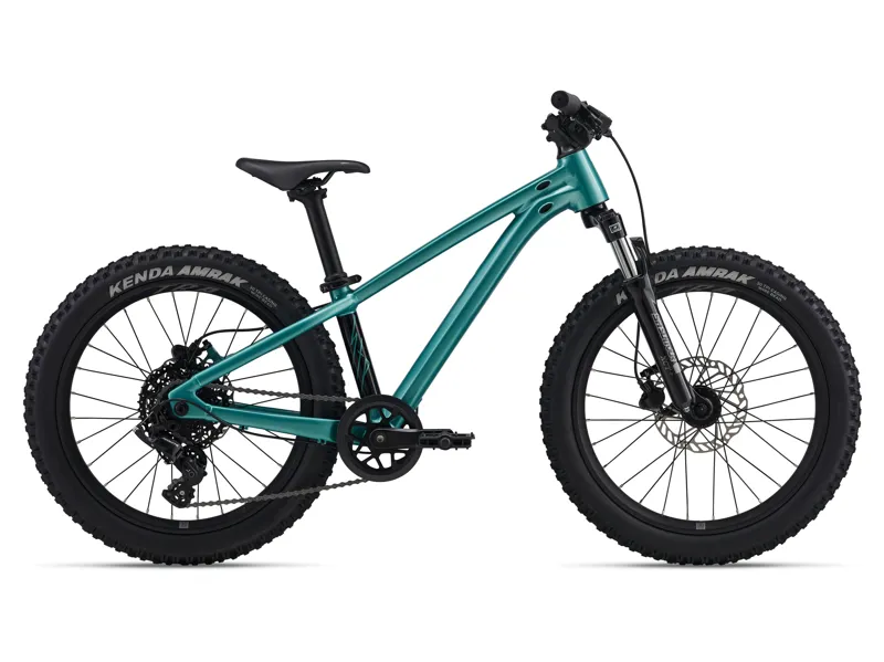 2026 Giant STP 20 FS Teal 