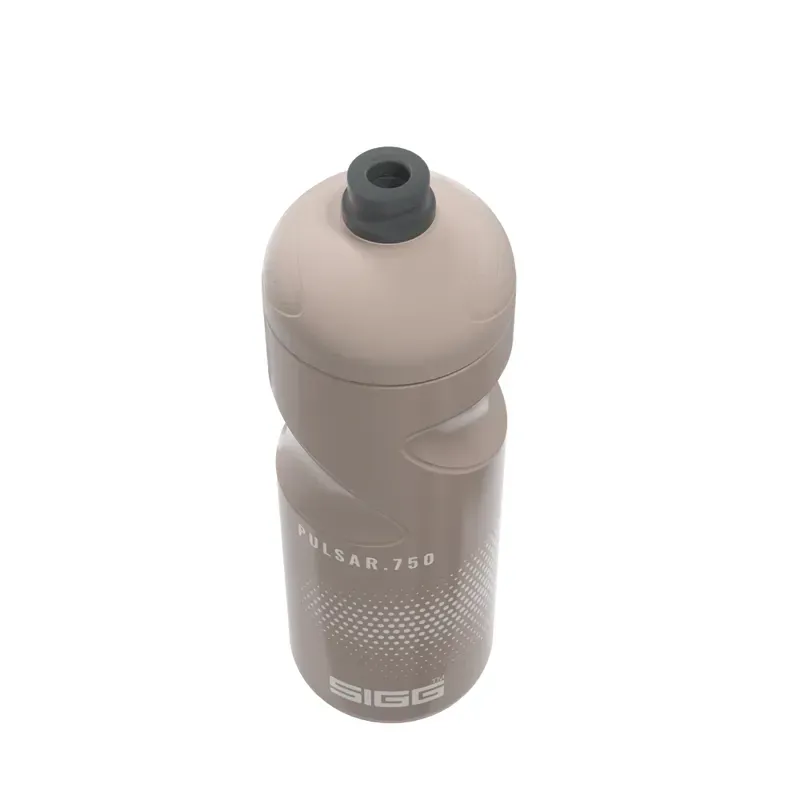 Sigg Pulsar Bottle in Dusk-2